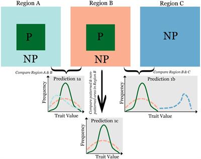 A Trait-Based Approach to Self-Organized Pattern Formation in Ecology